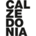 CALZEDONIA logo