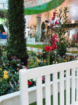 Frühlingswiese-IMG_6947_jpg