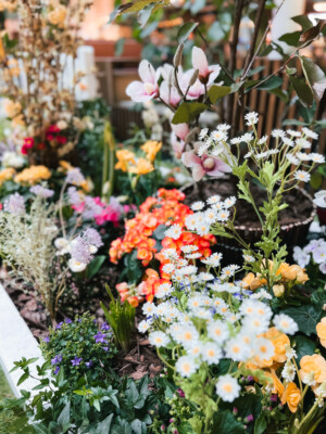 Frühlingswiese-IMG_7005_jpg