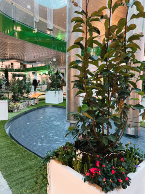 Frühlingswiese-IMG_7123 2