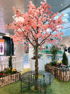 Frühlingswiese-IMG_7150