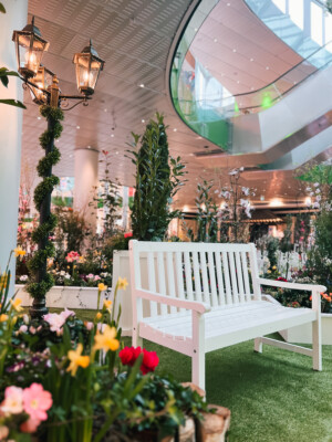 Frühlingswiese-IMG_7531_jpg