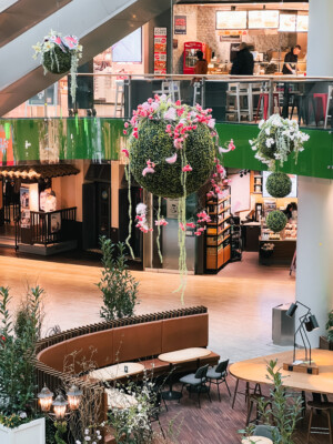 Frühlingswiese-IMG_7547