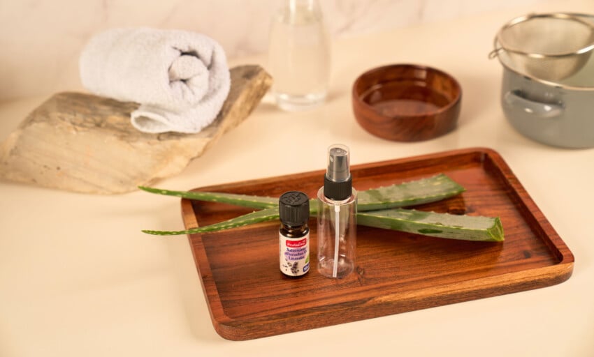 Erfrischungsspray selber machen  DIY mit Aloe Vera & Lavendel
