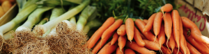 Header_Biobauernmarkt