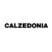 CALZEDONIA logo